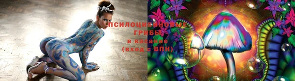 сатива Бронницы