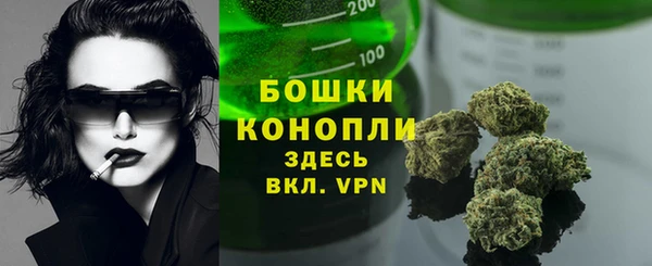 сатива Бронницы