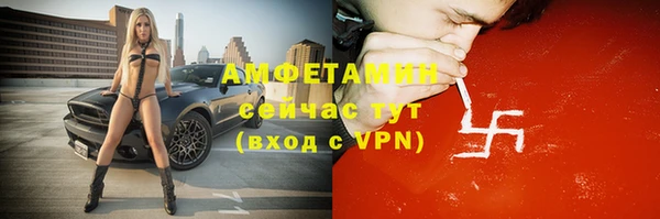 сатива Бронницы