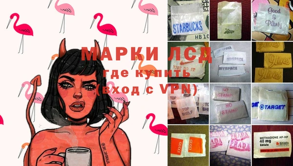 сатива Бронницы