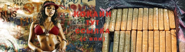 сатива Бронницы
