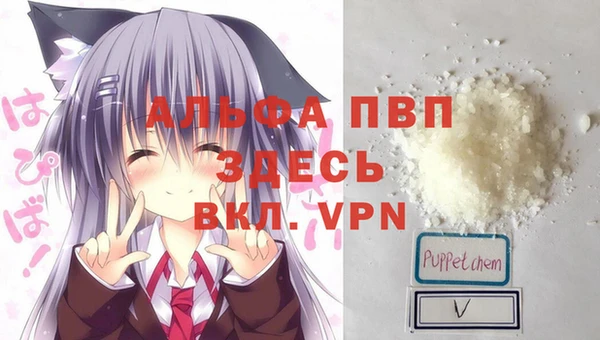 сатива Бронницы