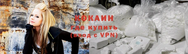 сатива Бронницы